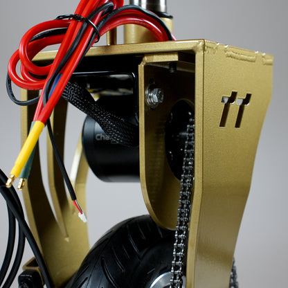 (Championship Gold) Tottoms Brushless PRO Kit