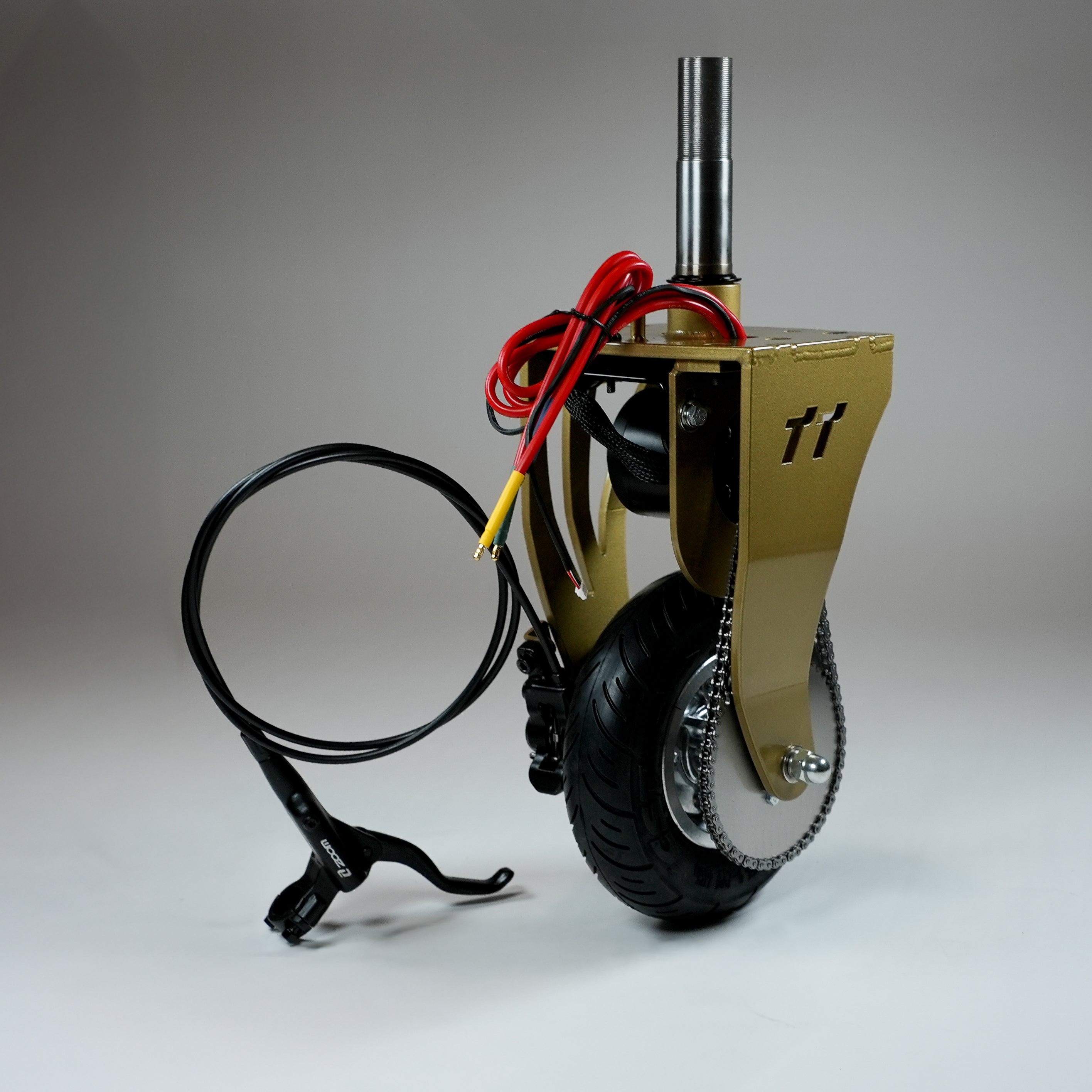 (Championship Gold) Tottoms Brushless PRO Kit