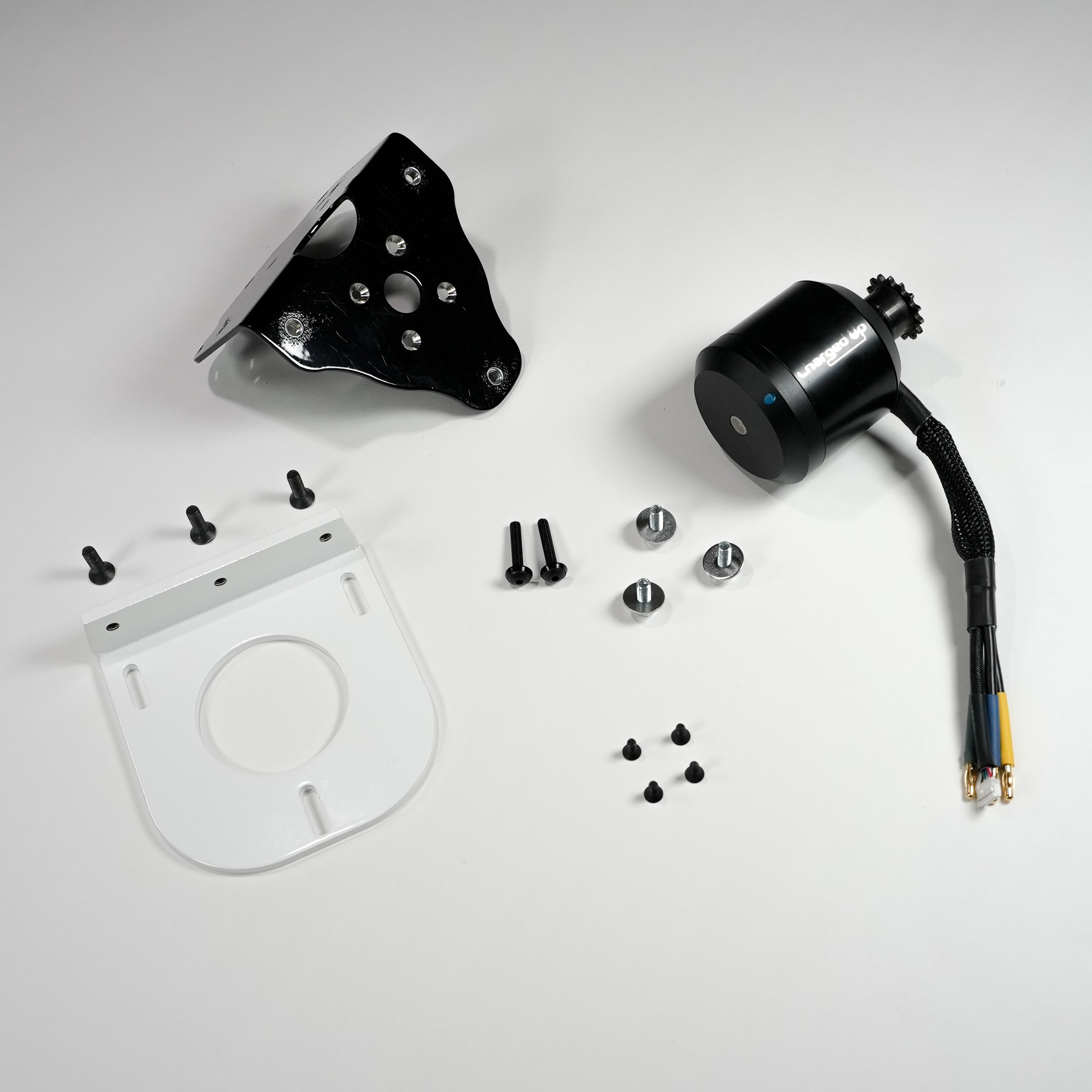 (Championship Gold) Tottoms Brushless PRO Kit