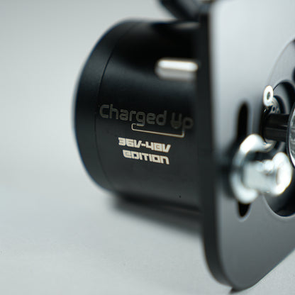 Budget Belt Drive Brushless Kit (4000w) - Standard Crazy Cart Upgrade Kit