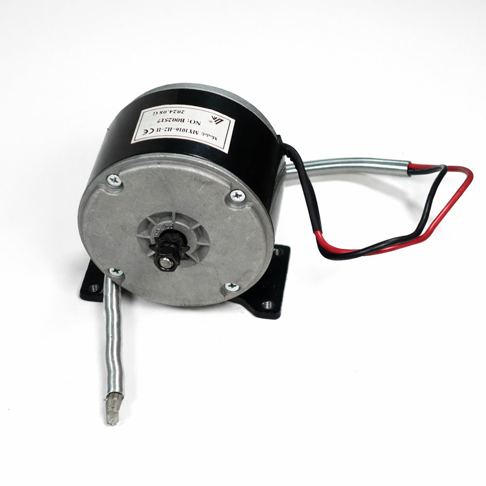 Stock 250w Crazy Cart Motor - Standard Size